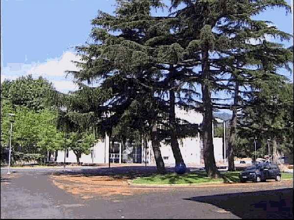 Savona Campus