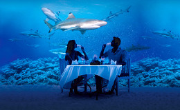 Dining in Shark Room at Acquario di Genova
